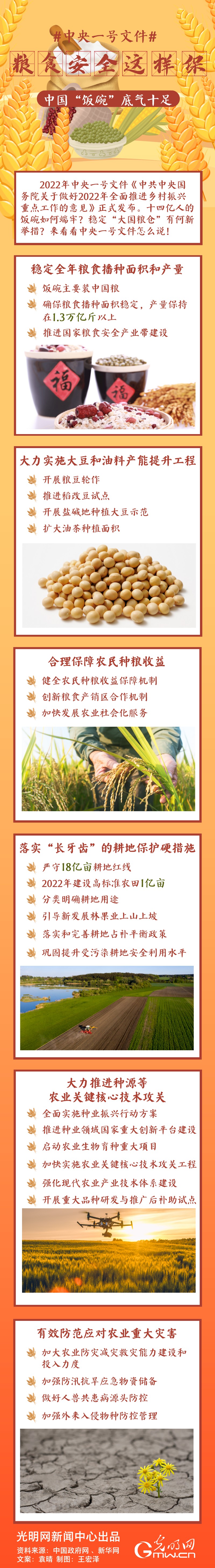 中央一號文件｜糧食安全這樣保，中國“飯碗”底氣十足