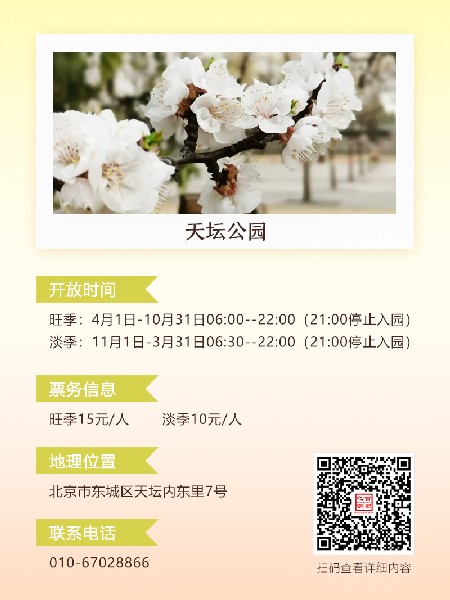 追花指南第六期！杏花雨 楊柳風(fēng) 北京最美的杏花在這里