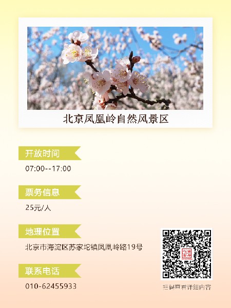 追花指南第六期！杏花雨 楊柳風(fēng) 北京最美的杏花在這里