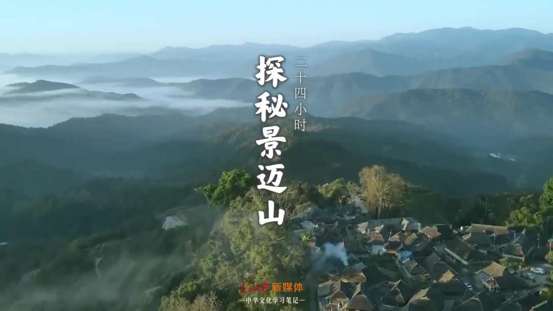 景邁山是個什么山？航拍云南普洱森林里的世界遺產