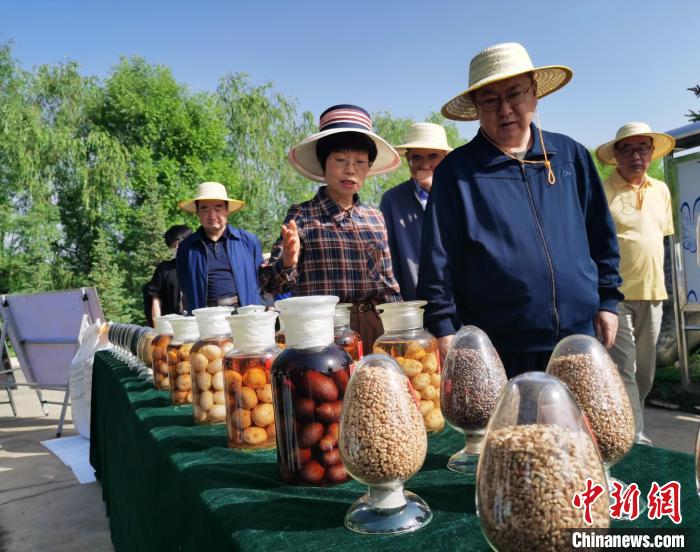 青海：利用冷涼氣候，打造高原綠色種業(yè)輸出地