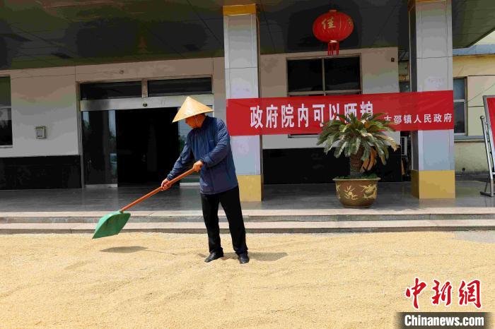 村民在棗莊市嶧城區(qū)古邵鎮(zhèn)政府大院內晾曬糧食。　胡瑾瑜 　攝
