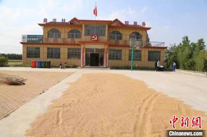 農民在邳莊鎮(zhèn)尚莊村黨群服務中心大院里曬糧?！≠Z萌 攝