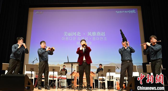 圖為音樂會現(xiàn)場?！∈谞栔袊幕行墓﹫D