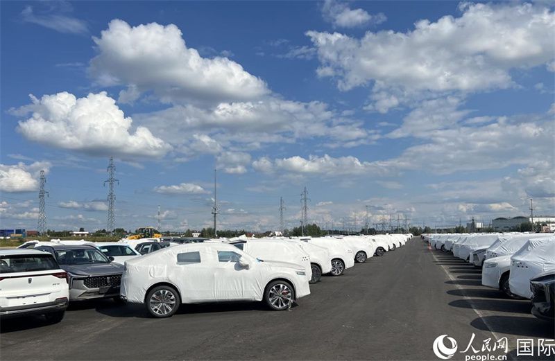 莫斯科別雷拉斯特物流中心內(nèi)的中國品牌汽車。人民網(wǎng)記者 申佳平攝