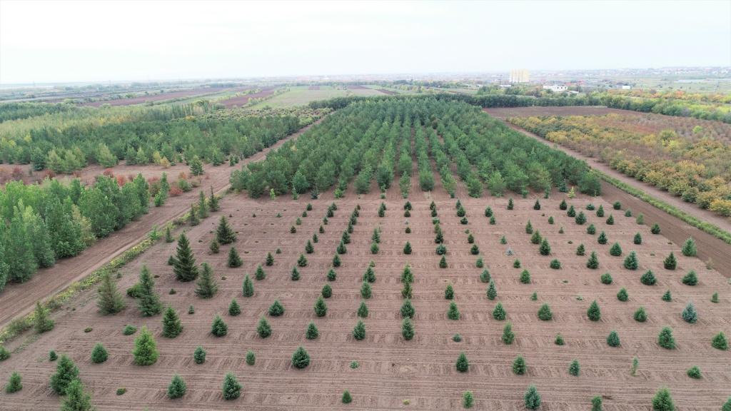 這是2023年9月11日在哈薩克斯坦首都阿斯塔納拍攝的一處植物種質(zhì)資源苗圃（無人機照片）。新華社發(fā)（法爾哈特·圖克諾夫 攝）