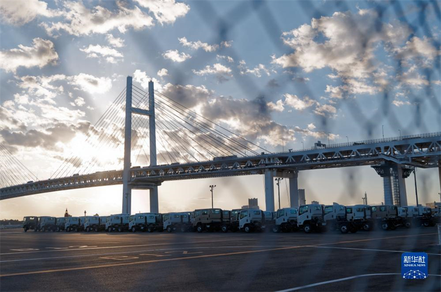 這是11月14日在日本橫濱拍攝的進(jìn)出口汽車集散場(chǎng)地。新華社記者 張笑宇 攝