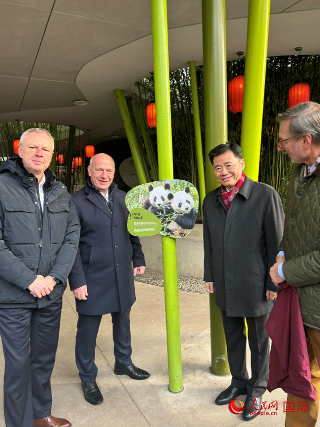 中國駐德國大使吳懇（右二）、柏林市長韋格納（左二）、動(dòng)物園園長克尼里姆（右一）和監(jiān)事會(huì)主席布魯克曼（左一）共同為“夢(mèng)想”“夢(mèng)圓”大熊貓紀(jì)念牌揭幕。人民網(wǎng)記者 徐馨攝
