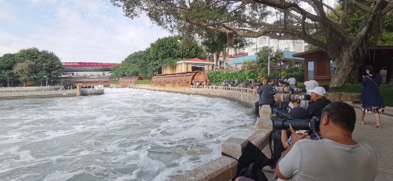 筼筜湖畔，許多攝影愛好者在拍攝白鷺。廈門市觀鳥協(xié)會(huì)彭志偉供圖