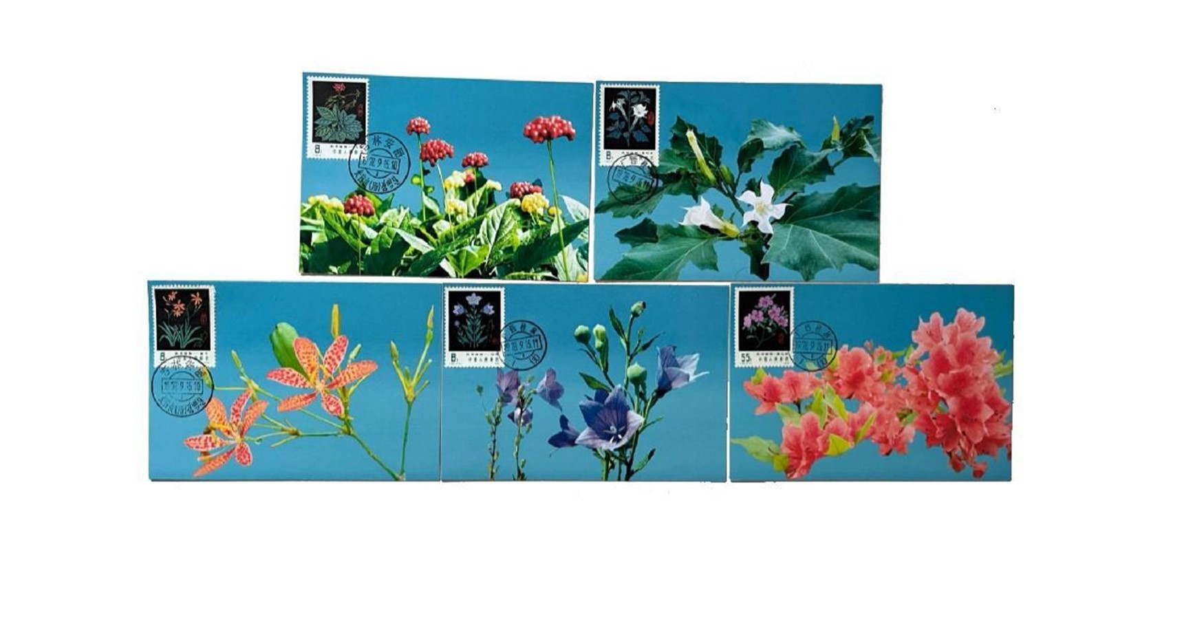 首套藥用植物極限片。第七屆阿聯(lián)酋集郵展主辦方供圖