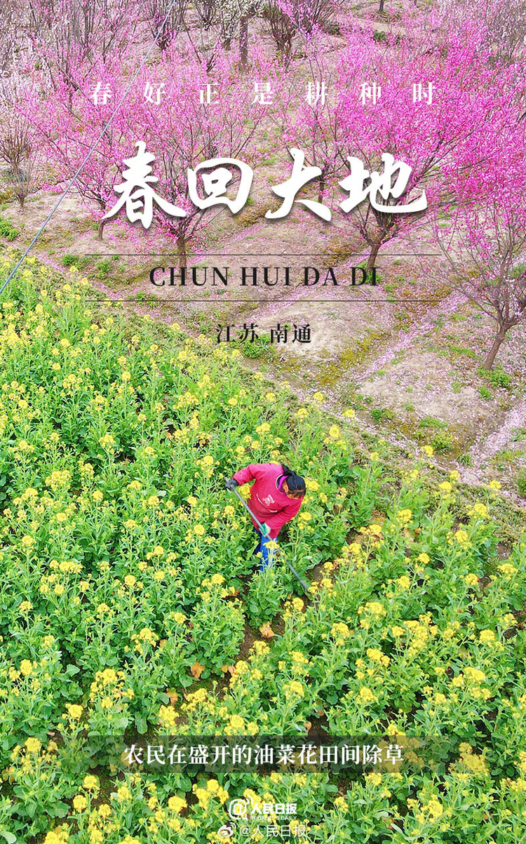 生機(jī)盎然！用課本封面打開(kāi)春耕畫(huà)卷