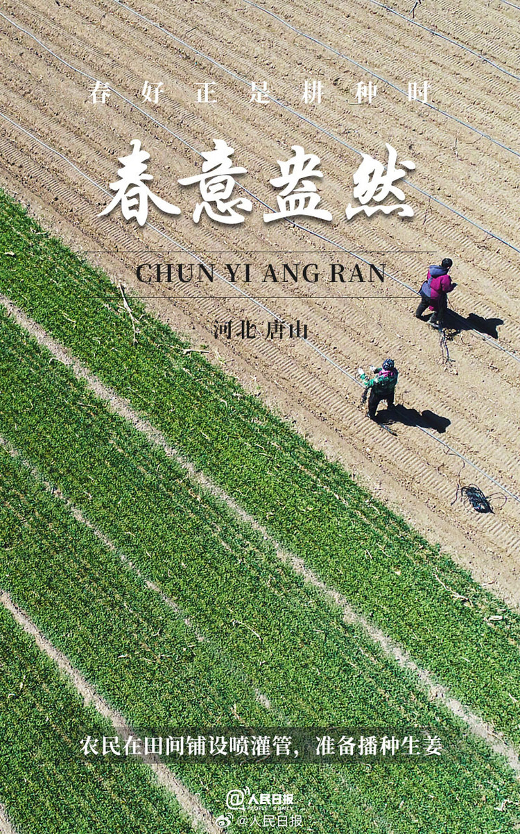 生機(jī)盎然！用課本封面打開(kāi)春耕畫(huà)卷