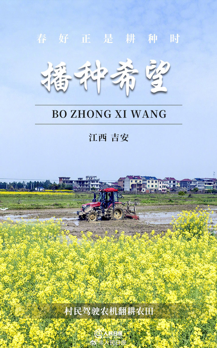 生機(jī)盎然！用課本封面打開(kāi)春耕畫(huà)卷