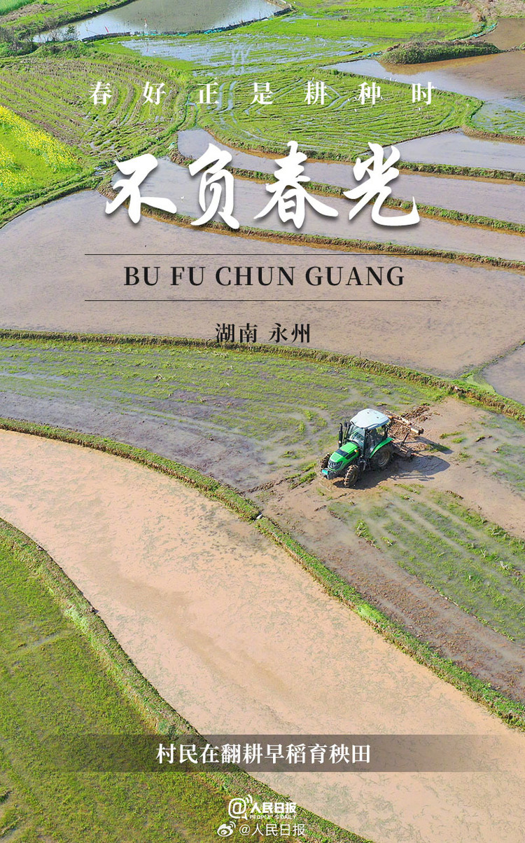 生機(jī)盎然！用課本封面打開(kāi)春耕畫(huà)卷