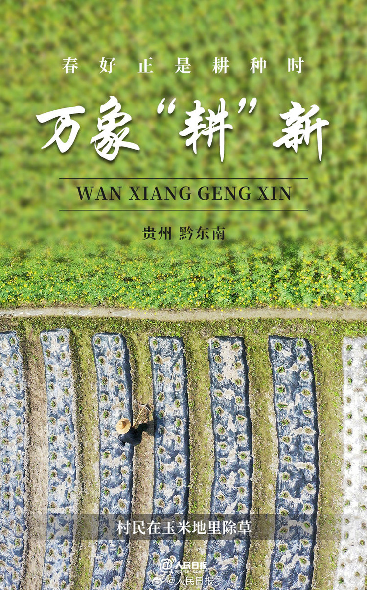 生機(jī)盎然！用課本封面打開(kāi)春耕畫(huà)卷