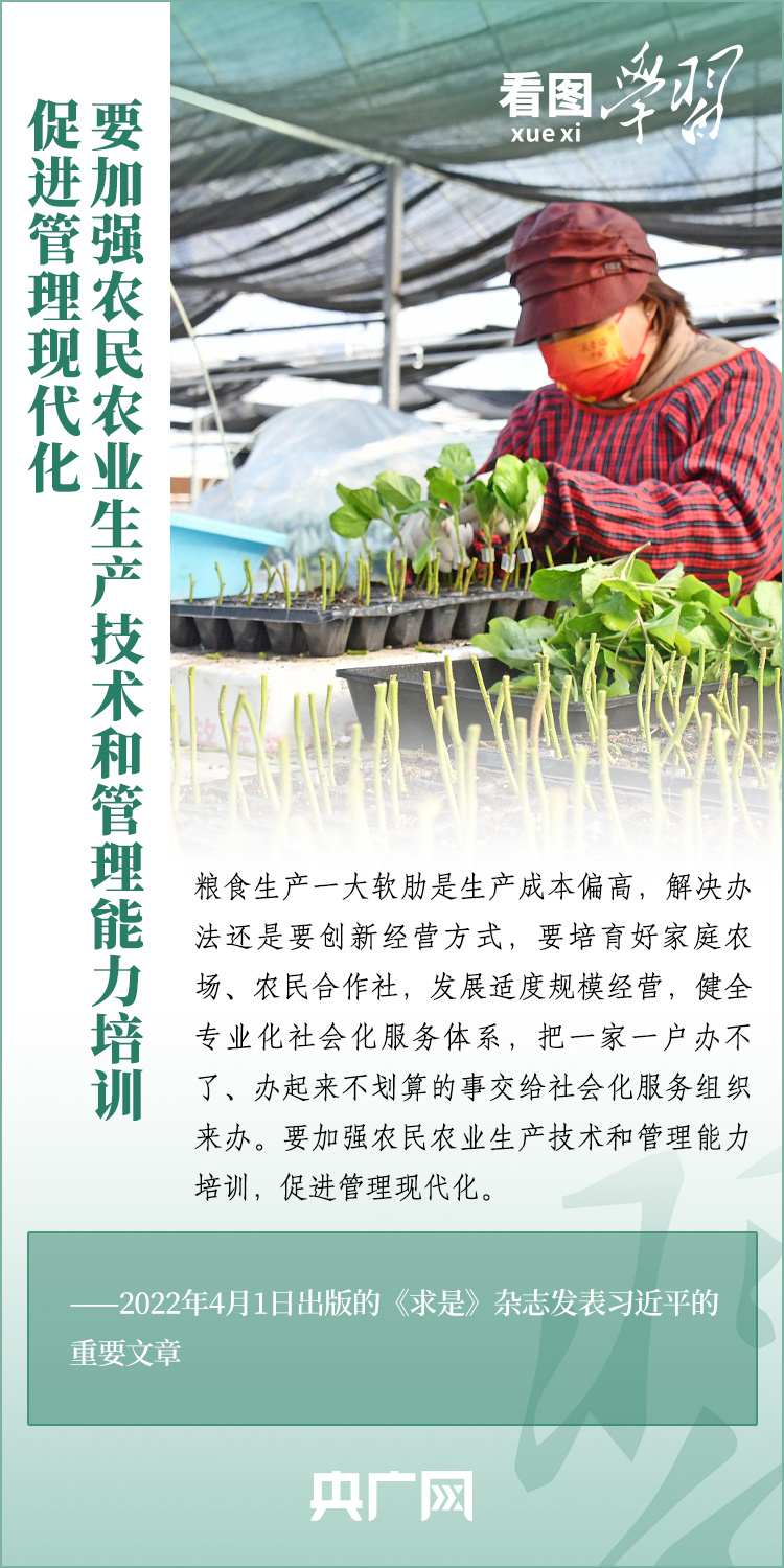 看圖學(xué)習(xí)丨推廣良田、良種、良法、良機(jī) 給農(nóng)業(yè)現(xiàn)代化插上科技的翅膀