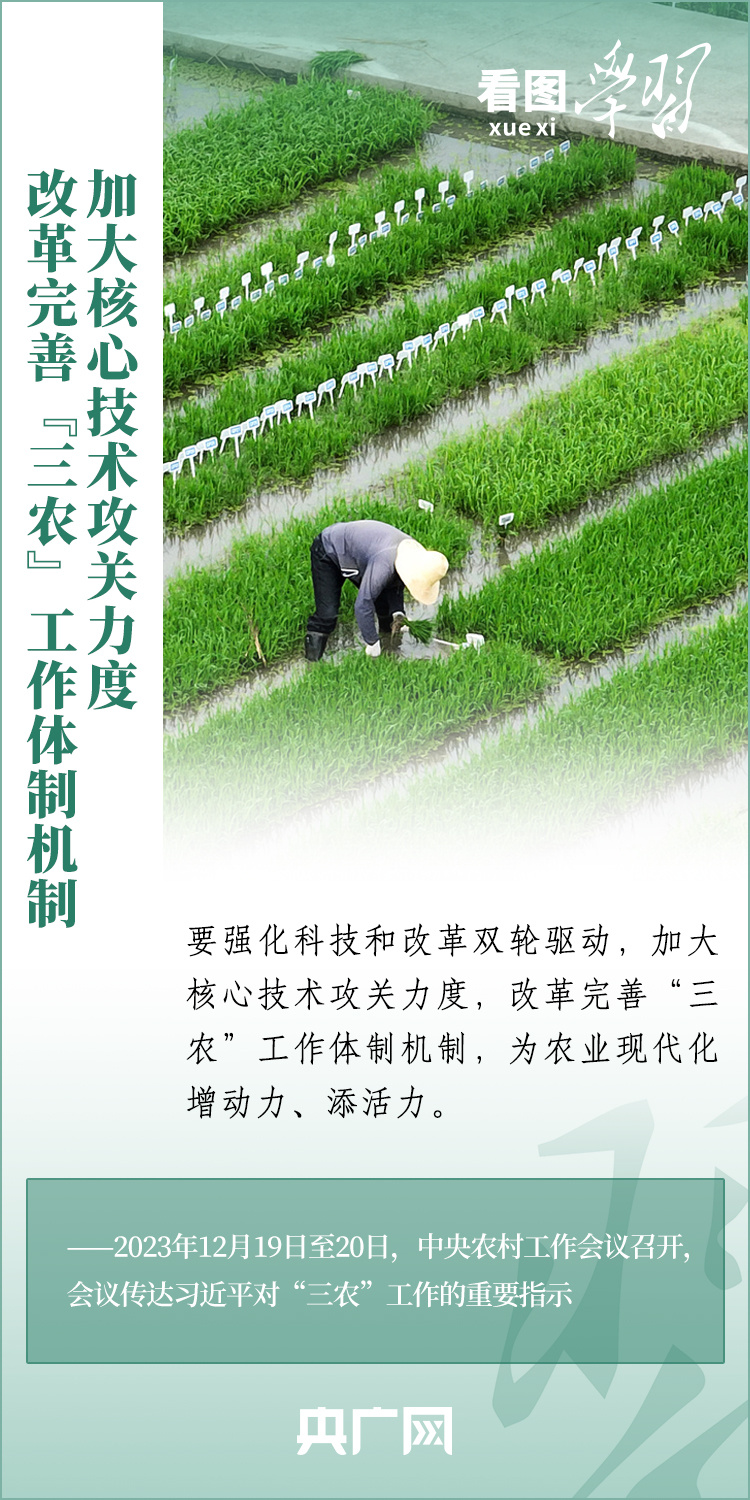 看圖學(xué)習(xí)丨推廣良田、良種、良法、良機(jī) 給農(nóng)業(yè)現(xiàn)代化插上科技的翅膀