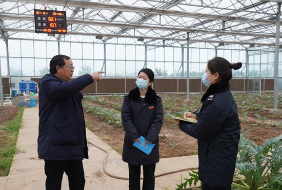 稅務(wù)干部走進常德市西洞庭管理區(qū)的朝鮮薊種植基地，宣傳稅費優(yōu)惠政策，助力農(nóng)企搶農(nóng)時、抓春耕、穩(wěn)增長。吳家豪攝