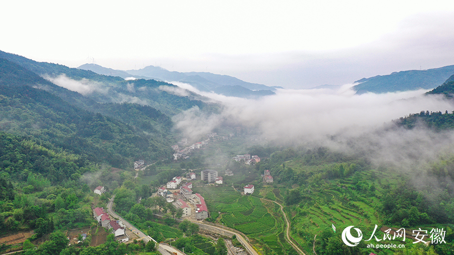 雨后的金寨大灣村，云霧環(huán)繞，宛如一幅田園山水畫(huà)卷。人民網(wǎng) 張俊攝