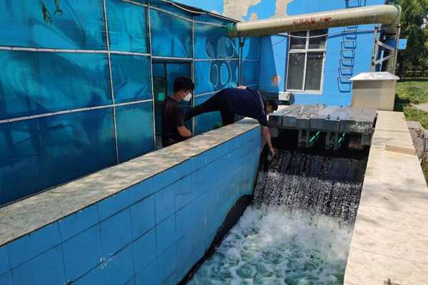 邯鄲市雞澤縣藍(lán)天污水處理廠員工正在出水口進行水質(zhì)檢測。鄭佳欣攝