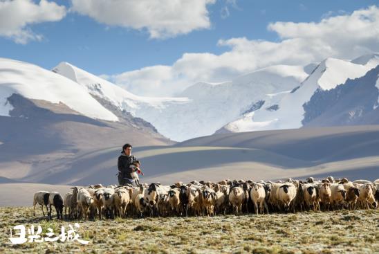 治愈你的不止曠野，更是真實的生活