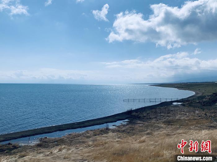 圖為青海湖畔。(資料圖) 張傲 攝
