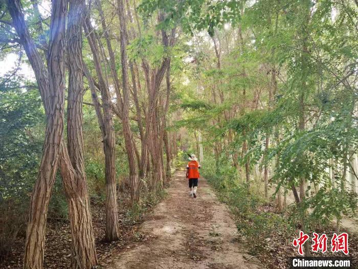 戈壁灘上的護(hù)林員：以前風(fēng)吹睜不開(kāi)眼，現(xiàn)在滿眼皆綠色