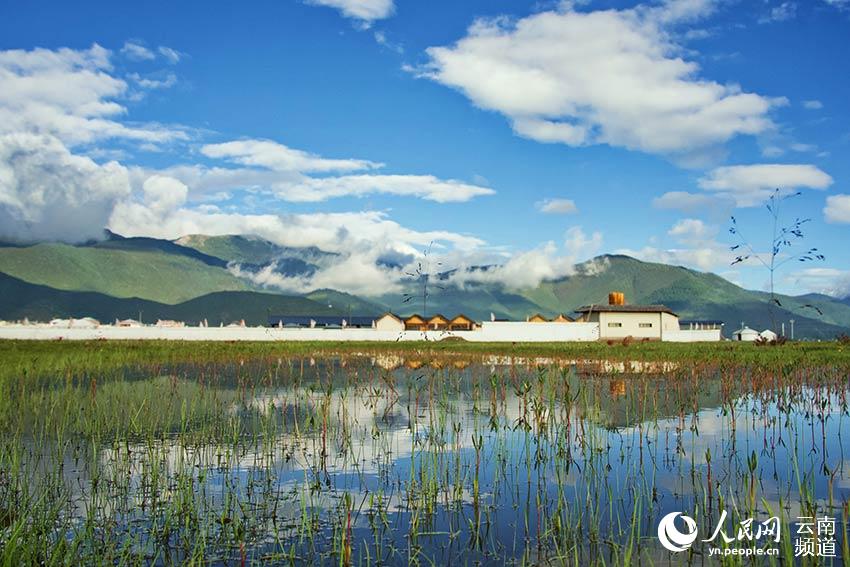 納帕海濕地風(fēng)景。呂昊辰攝