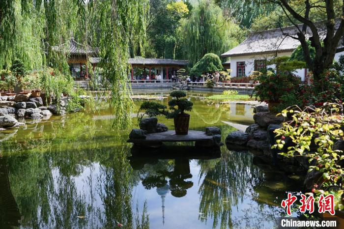 圖為西寧園林植物園秋日風景別有韻味。　馬銘言 攝