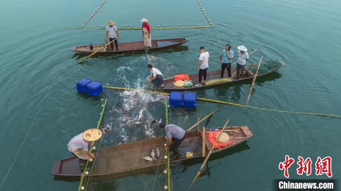 捕魚現(xiàn)場(chǎng)。　主辦方供圖