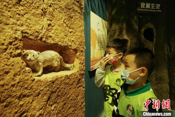 圖為小朋友在青海西寧湟水國(guó)家濕地公園科普館內(nèi)參觀學(xué)習(xí)?！●R銘言 攝