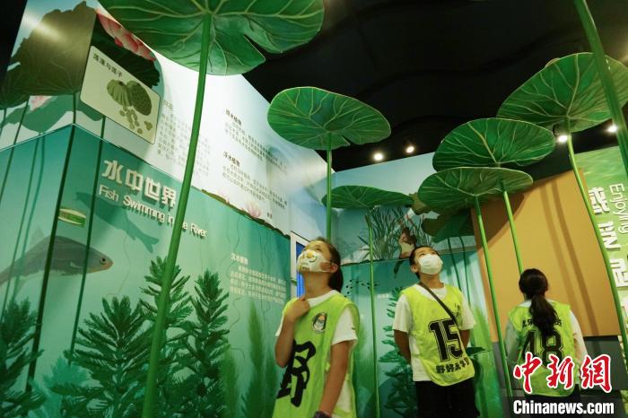 圖為小朋友在青海西寧湟水國(guó)家濕地公園科普館內(nèi)參觀學(xué)習(xí)?！●R銘言 攝