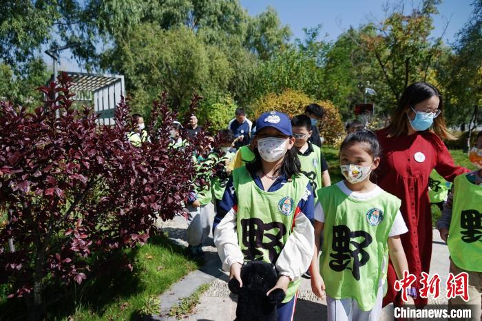 圖為小朋友在青海西寧湟水國(guó)家濕地公園內(nèi)認(rèn)識(shí)植物。　馬銘言 攝