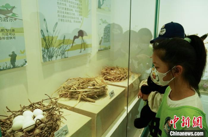 圖為小朋友在青海西寧湟水國(guó)家濕地公園科普館內(nèi)參觀學(xué)習(xí)?！●R銘言 攝