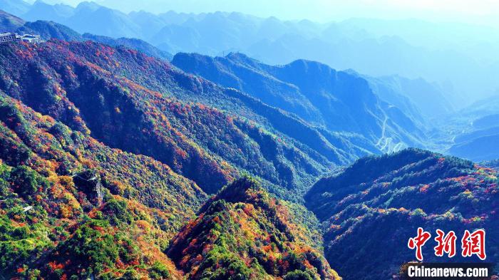 巴山大峽谷彩林迎來最佳觀賞期。　張平 攝