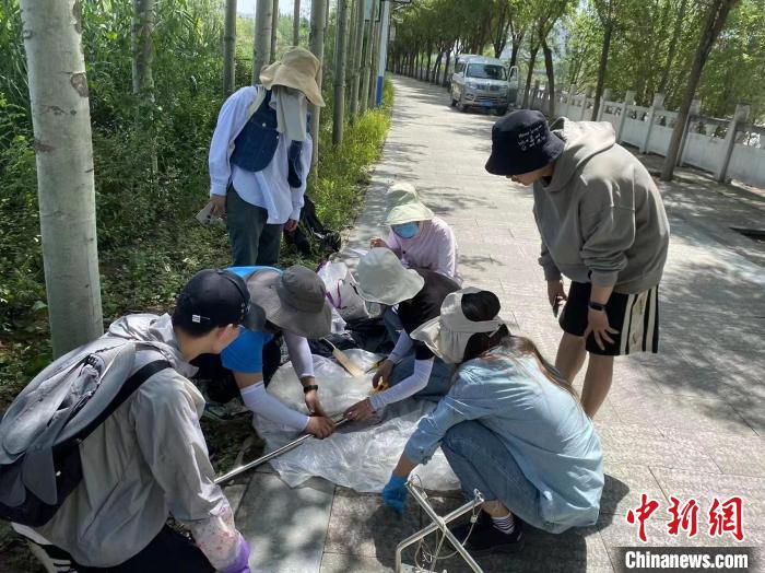 圖為科研人員正在進(jìn)行監(jiān)測?！∥鲗庝宜畤覞竦毓珗@供圖