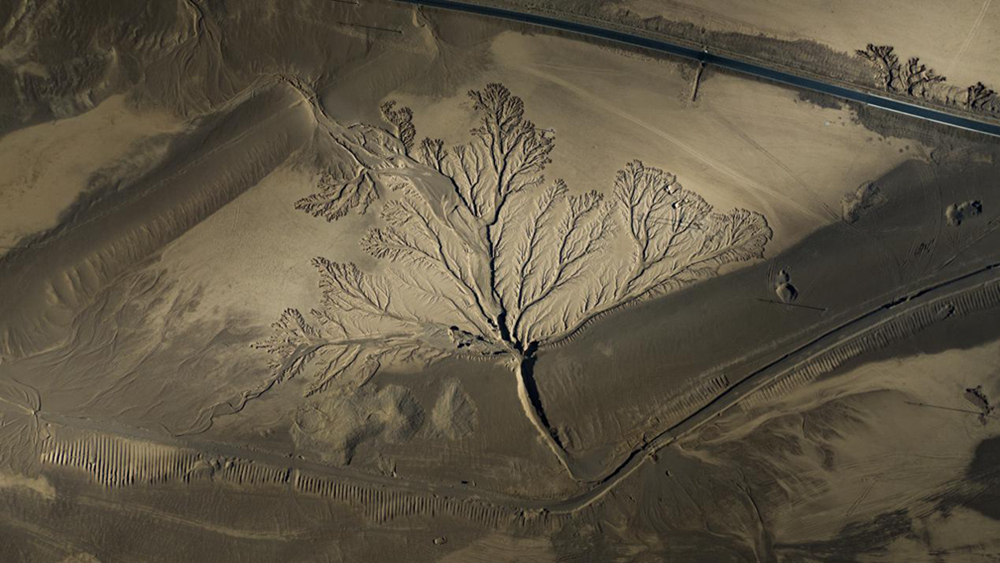 無人機視角下的西藏阿里地區(qū)改則縣“大地之樹”景觀。尼瑪多吉攝