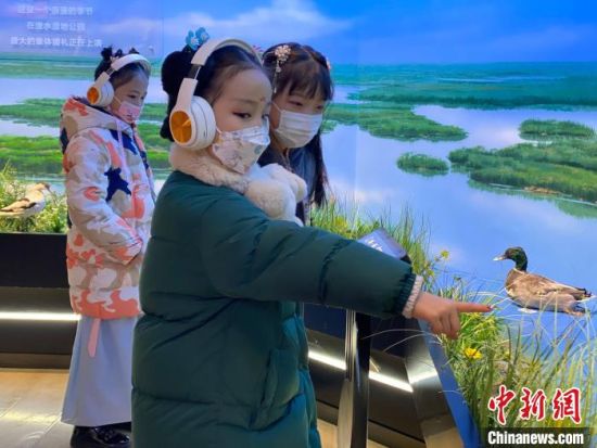 圖為學(xué)生在西寧市第一中學(xué)濕地科普宣教館內(nèi)參觀?！±罱瓕?攝