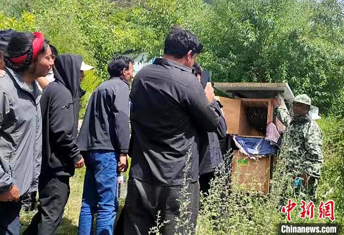 拉久西村村民學(xué)習(xí)養(yǎng)蜂工作流程和防范事項(xiàng)?！〔际忻⒖悼h委宣傳部供圖