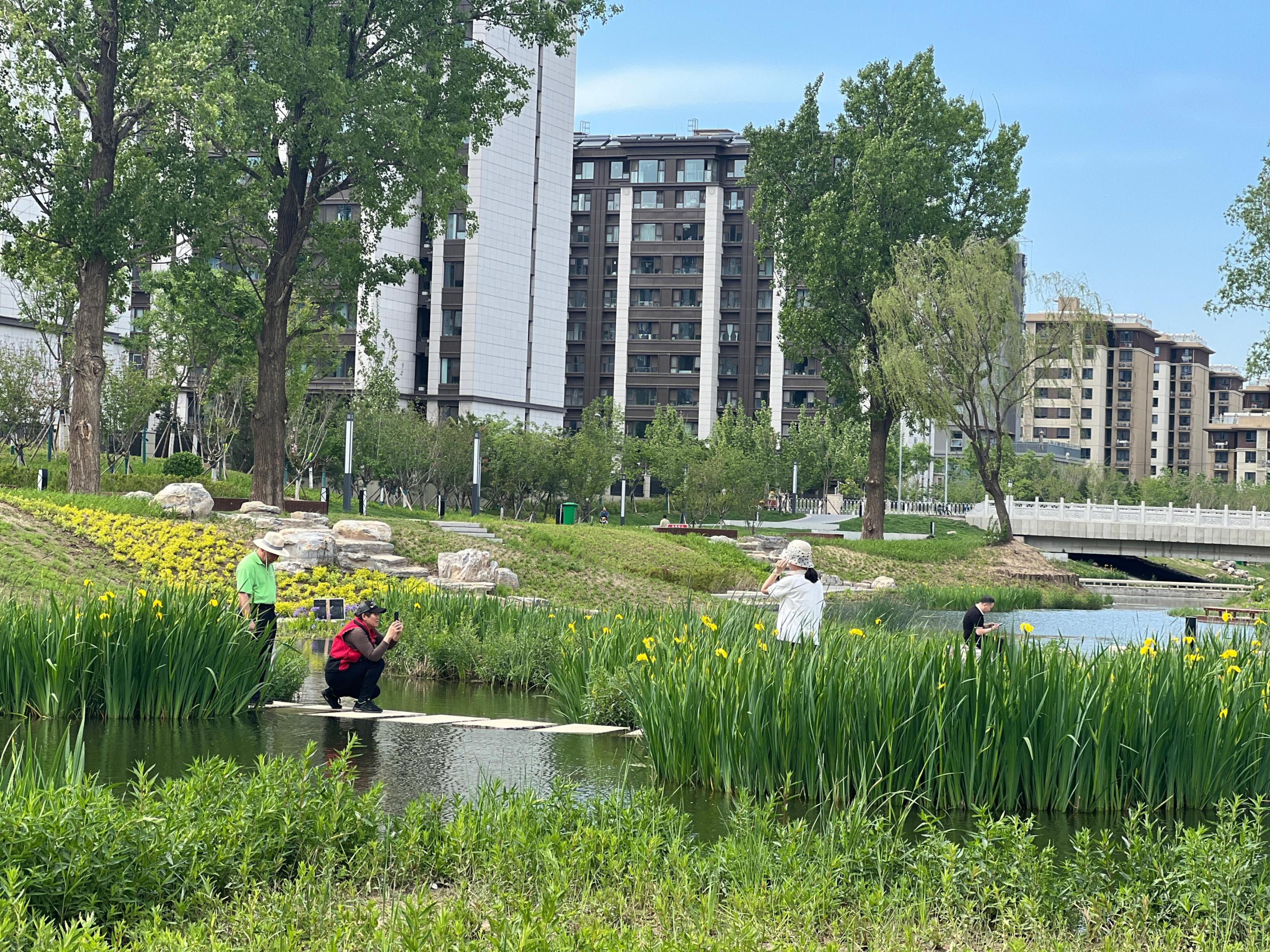 五一渠生態(tài)濱河公園內(nèi)，市民正在拍照留念。人民網(wǎng) 歐陽易佳攝