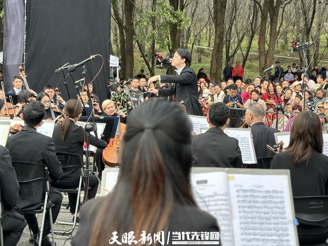 貴陽(yáng)路邊音樂(lè)會(huì)·貴安櫻花園專(zhuān)場(chǎng)交響樂(lè)現(xiàn)場(chǎng)。丁亞 文丹 攝