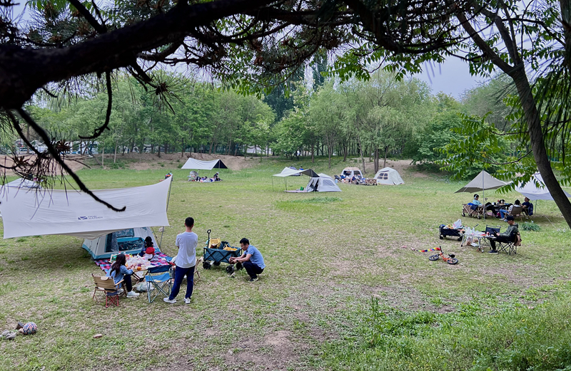 “自駕+露營(yíng)”等多元模式受熱捧。人民網(wǎng)記者 王連香攝
