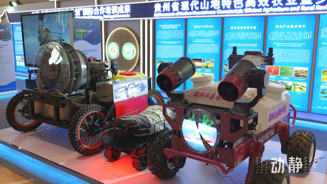 展示成果分享經驗，中國—東盟教育交流周深化合作共創(chuàng)未來！