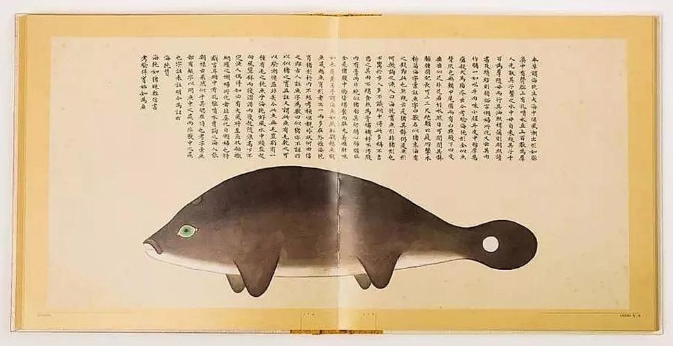 文化中國行 長江之歌丨微笑的江豚，從四千年前“游”來