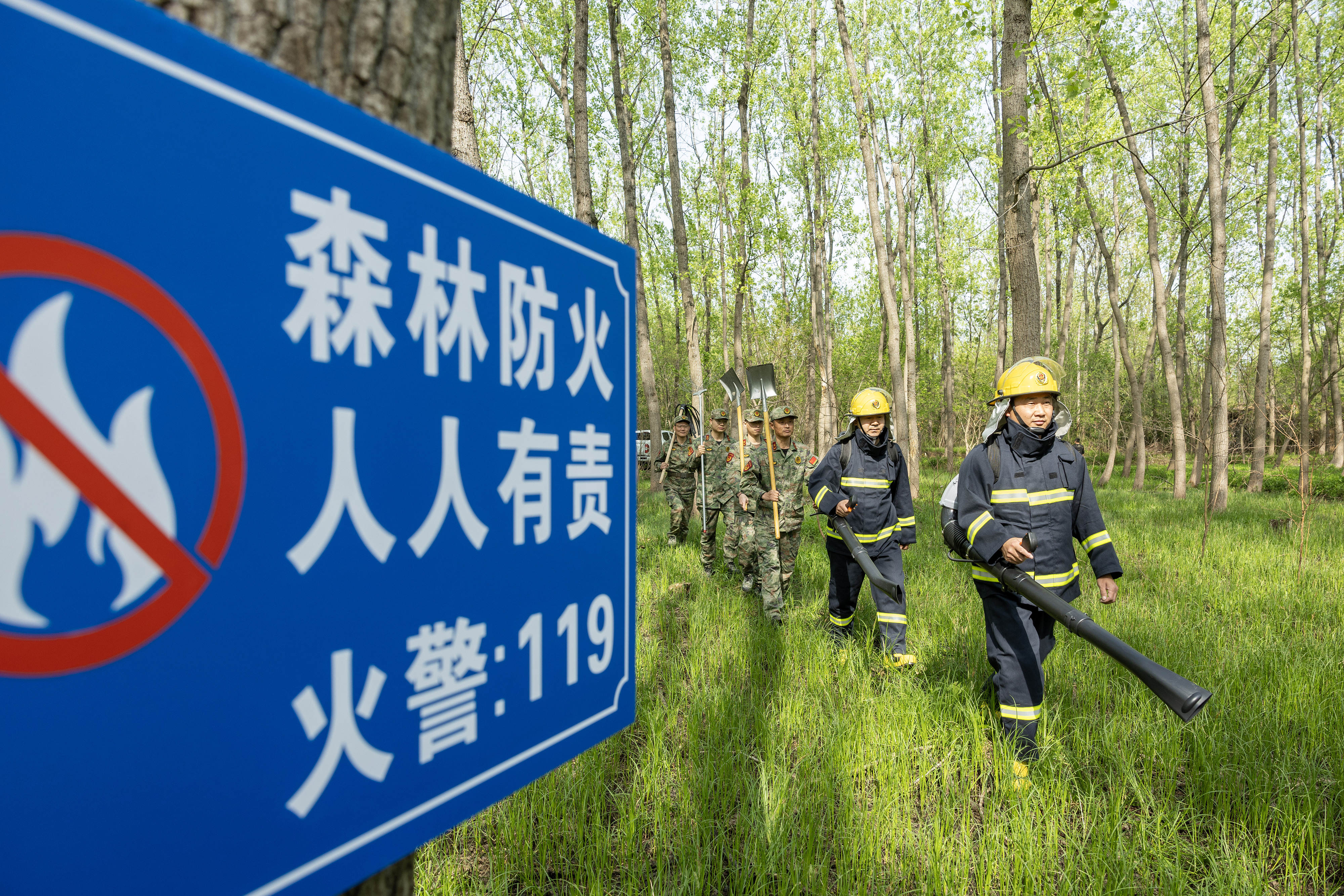 2024年4月9日，合肥市大房郢水庫水源保護地廬陽經(jīng)濟開發(fā)區(qū)段，基干民兵正在林間巡查火災隱患。