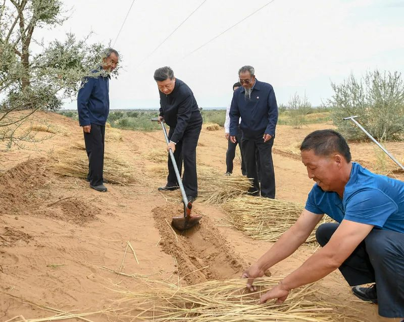 2019年8月21日，習(xí)近平來(lái)到甘肅省武威市古浪縣八步沙林場(chǎng)，實(shí)地察看當(dāng)?shù)刂紊吃炝?、生態(tài)保護(hù)等情況。新華社記者 謝環(huán)馳 攝