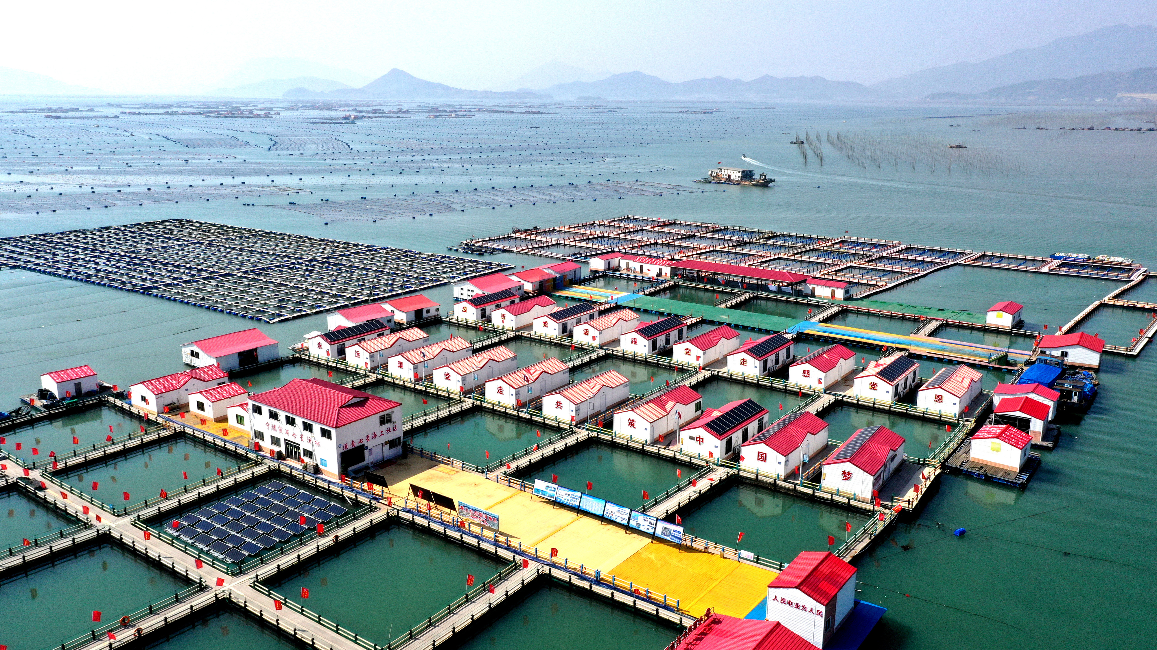 2024年3月20日，福建省寧德市，霞浦縣溪南鎮(zhèn)七星村漁排養(yǎng)殖示范區(qū)，漁民駕駛養(yǎng)殖船進(jìn)行海參養(yǎng)殖作業(yè)。