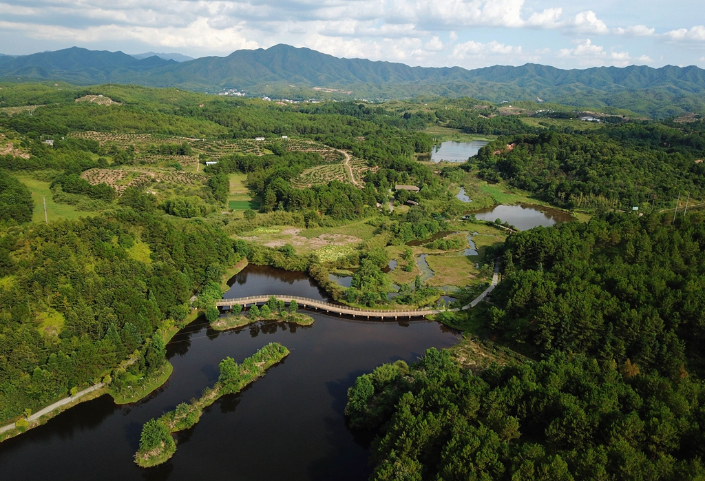 福建省龍巖市長汀縣的長汀汀江國家濕地公園景色（2020年7月28日攝，無人機照片）。新華社記者 魏培全 攝