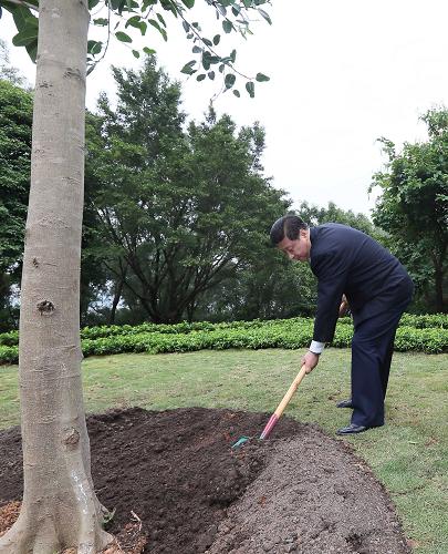 2012年12月7日至11日，習(xí)近平在廣東省考察工作。這是8日上午，習(xí)近平在深圳蓮花山公園種下一棵高山榕樹(shù)。新華社記者 蘭紅光 攝