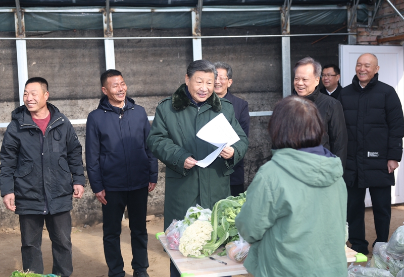 2024年2月1日，習(xí)近平總書記在天津市西青區(qū)辛口鎮(zhèn)第六埠村，走進(jìn)大棚同菜農(nóng)親切交流。